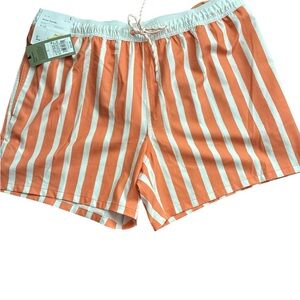Goodfellow & Co Orange and White Striped Swim Trunks